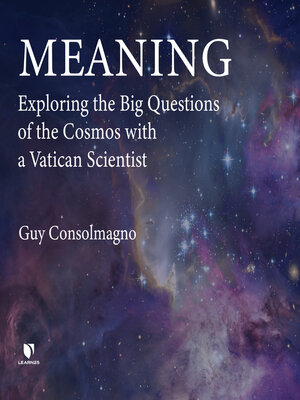cover image of Meaning
